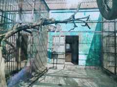 -昆明动物园