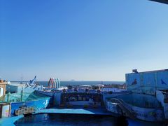 -海合安青岛极地海洋公园