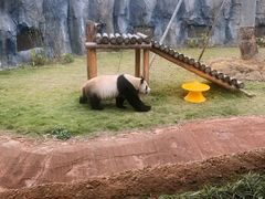 -杭州野生动物世界