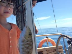-斐济双桅帆船外岛一日游 浮潜 海钓 Tinhao号