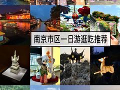 -奇芳阁·百年清真南京菜(夫子庙店)