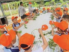 -三亚吉阳区星河实验幼儿园