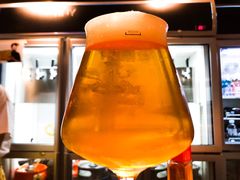 双倍IPA-TINY