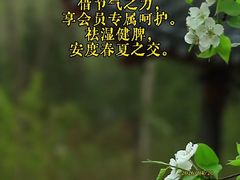 -裕和堂中医推拿艾灸(太古汇臻品店)