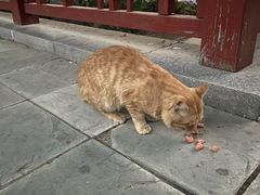 -燕郊植物园