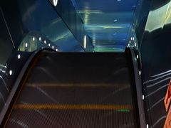 -白鹤梁水下博物馆