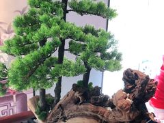 -顺峰(农展馆店)