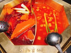 -蜀九香火锅(彩虹店)