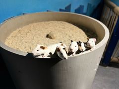 -常州海昌海洋探索馆