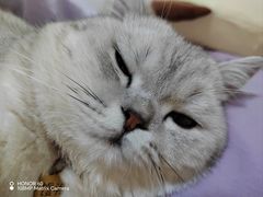 -宠颐生汉谟拉比宠物医院