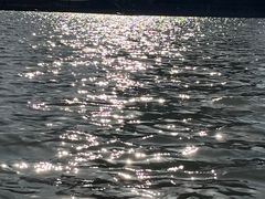 -映月湖中央公园