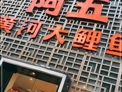 -阿五黄河大鲤鱼(纬三路店)