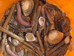 -北海金海湾红树林生态旅游区