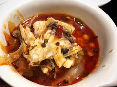 花鲢鱼头-三只耳火锅(宽窄巷子店)