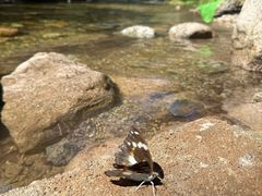 -玉渡山风景区-售票处