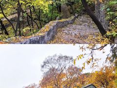 -北京上方山国家森林公园