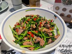 -壹盏灯(惠农店)