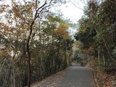 -紫金山山顶公园