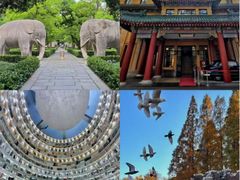 -李百蟹·江南蟹黄面·河景餐厅(夫子庙总店)