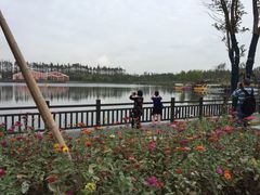 -上海长兴岛郊野公园