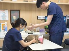 -谐和益家动物医院·免疫绝育·血液透析·宠保定点医院(高新伊藤分院)