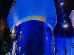 -珠海横琴国家地理探险家中心(创新方)