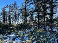 -瓦屋山景区