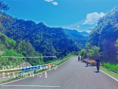 -百杖潭景区