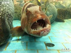 -渔民新村(番禺总店)