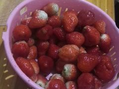 -红星农博物流中心