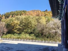 -青龙寺