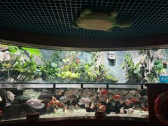 -太平洋海底世界