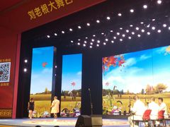 -刘老根大舞台-长春旗舰店