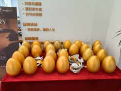 -馨媛瑜伽普拉提