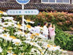 -三垟湿地