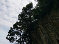 -少华山国家森林公园