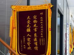 -瑞派天使宠物医院·神经外科·骨科·核磁(洛川中路店)