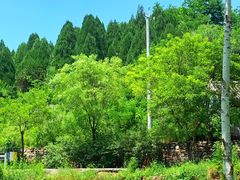 -云岫谷自然风景区