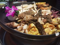 -一朵菌·野生菌探索家火锅(南亚店)