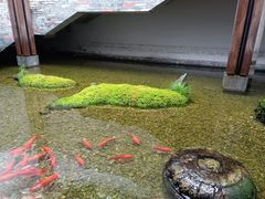 -几荷·恰似故人来(秀水广场店)
