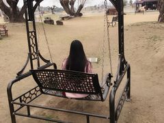 -南通洲际绿博园