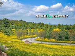 -瑞丽独树成林风景区