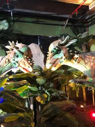 -恐龙探索乐园(磁器口店)