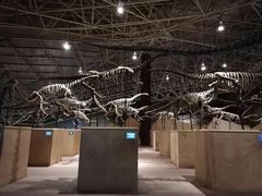 -世界恐龙谷景区