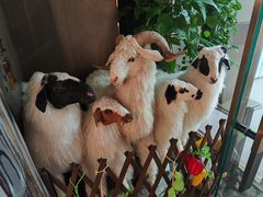 -百草滩羊清水涮羊肉·清真·宁夏盐池滩羊(莲花桥店)