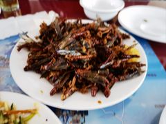 炸蚂蚱-北京龙庆四季香农家饭庄·灶台鱼·碳烤虹鳟鱼(龙庆峡店)