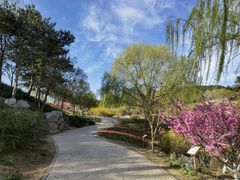 -北京西山国家森林公园