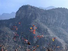 -周口店坡峰岭风景区