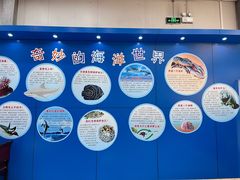 -上海海洋大学鱼文化博物馆(军工路校区)