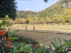 -八卦田遗址公园